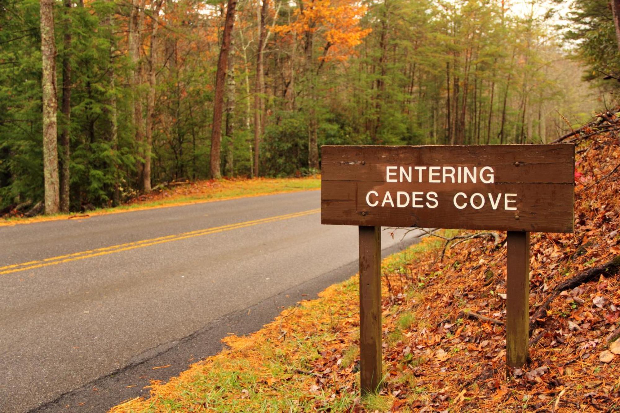 Time To Cuddle, Wifi, Near Pigeon Forge, 1089 Free Tickets Each Paid Day, Dollywood And More Exterior foto
